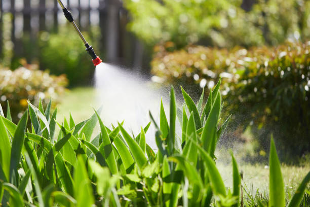 24/7 Emergency Ant Control experts in Princeville, IL